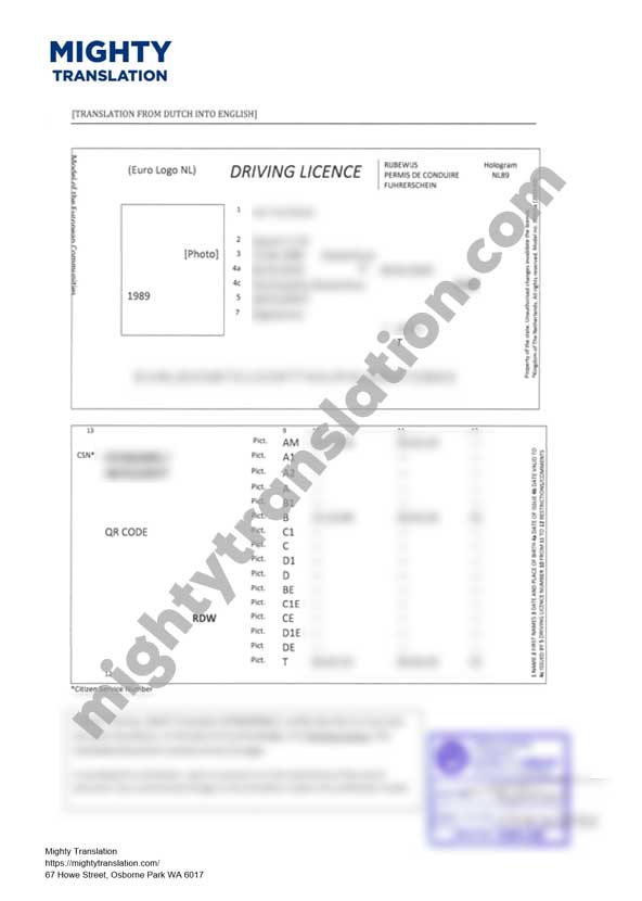 Dutch driving license translation