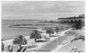 Eastern Beach Geelong Translation Service