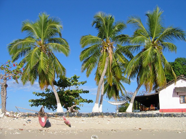 Madagascar Translation Services
